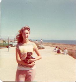 1976 Yorkie puppy in California