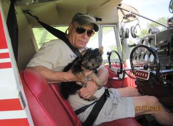 Carter Yorkies